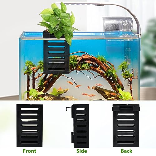HASTHIP® 6PCS Aquarium Plant Holder with Hooks Fish Tank Enhance Your Decor Hanging Aquatic Planter Cups HASTHIP® 6PCS Aquarium Plant Holder with Hooks Fish Tank Enhance Your Decor Hanging Aquatic Planter Cups